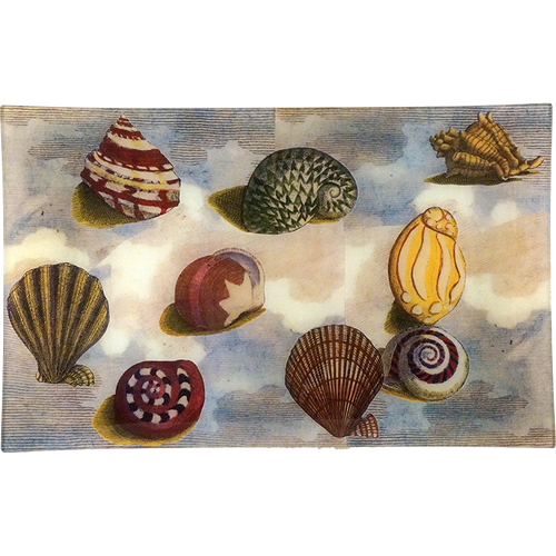 john derian Nautilus (Collage) 10 x 16" Rect. Tray