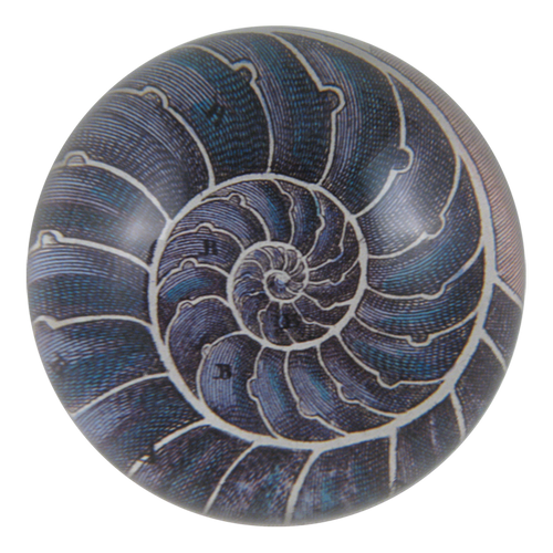 john derian Nautilus Dome Paperweight
