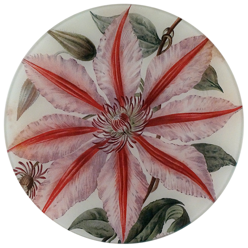john derian Nelly Moses 10" Round Plate