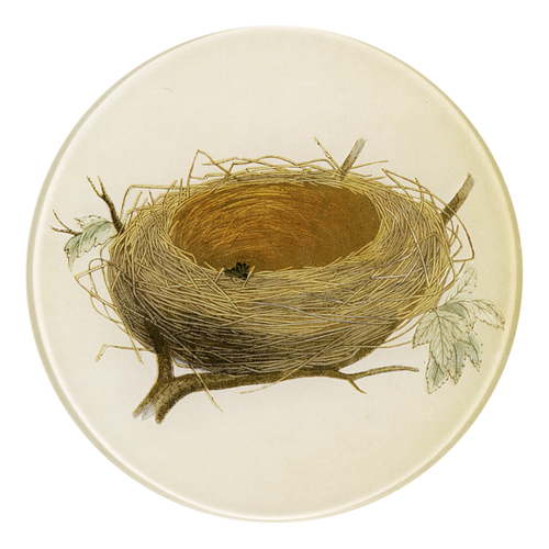 john derian Nest 5 1/4" Round Plate