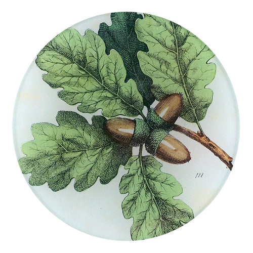 john derian Oak 5 1/4" Round Plate