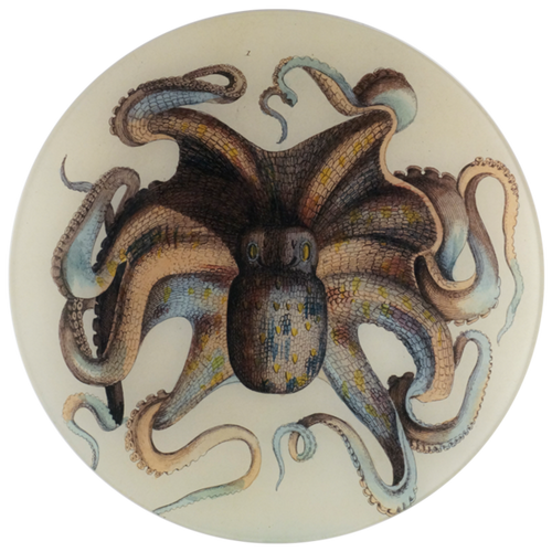john derian Octopus 11" Round Plate