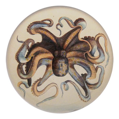 john derian Octopus Dome Paperweight