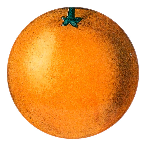 john derian Orange 5 1/4" Round Plate