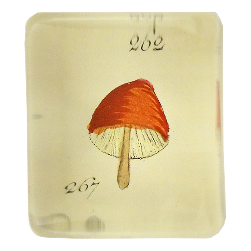 john derian Orange Mushroom Rectangular Charm
