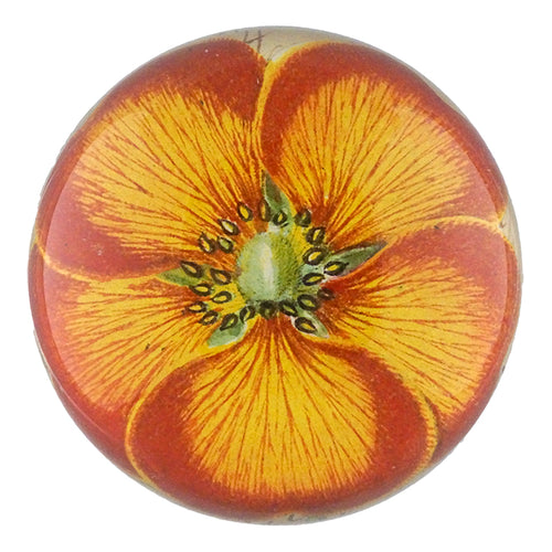 john derian Orange Nasturtium Dome Paperweight