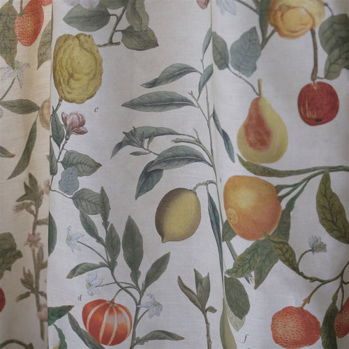 John Derian Orchard Fruits Parchment Fabric