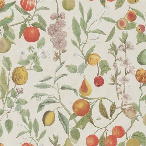 john derian Orchards Fruits Parchment Wallpaper