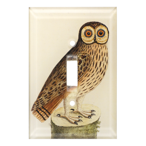 john derian Owl #1 Switch Plate Cover