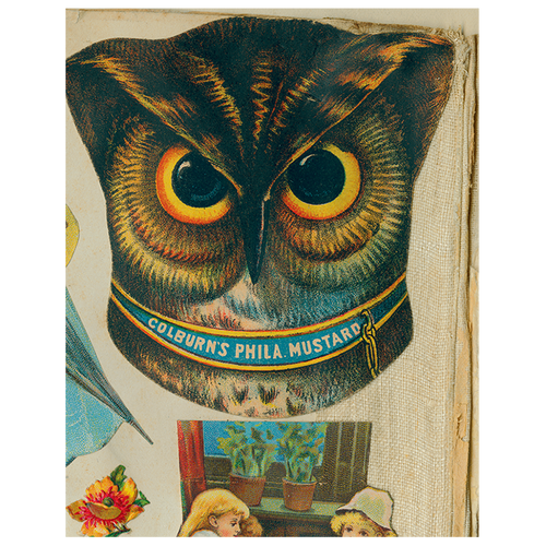 john derian Owl Close-Up (p 209) 11" x 14" Rect. Tray