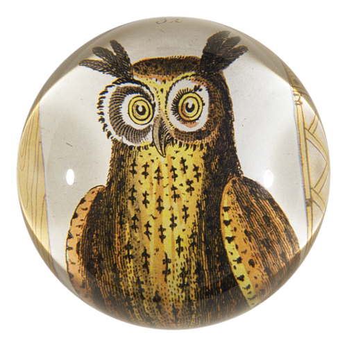 john derian Owl Dome Paperweight