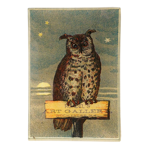 john derian Owl Gallery 3.5 x 5" Tiny Rect. Tray
