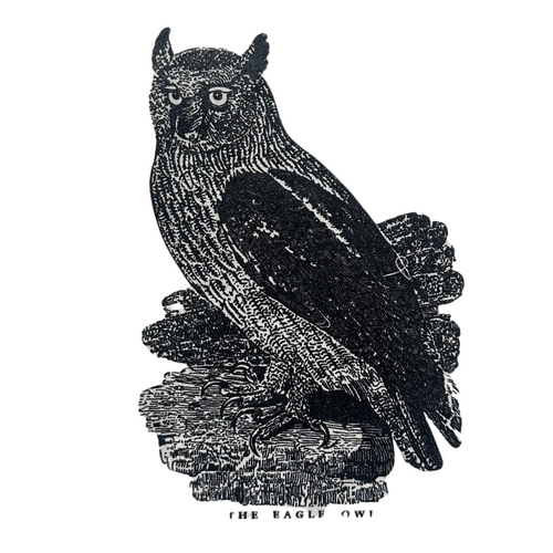 John Derian Owl Tote Bag Canvas Tote Bags