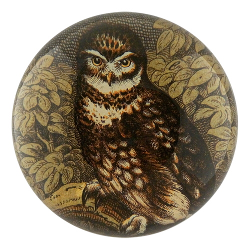 john derian Owl with Leaves Dome Paperweight