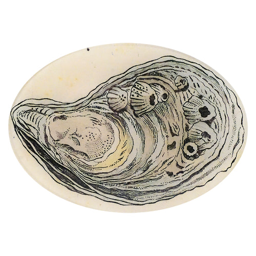 john derian Oyster 7 x 10" Oval