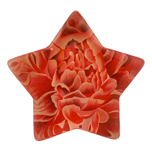john derian Paeonia Star Charm