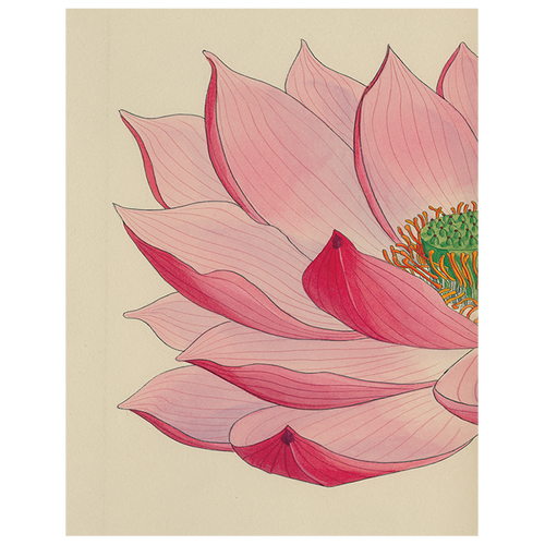 john derian Painted Lily (p 37) 11" x 14" Rect. Tray