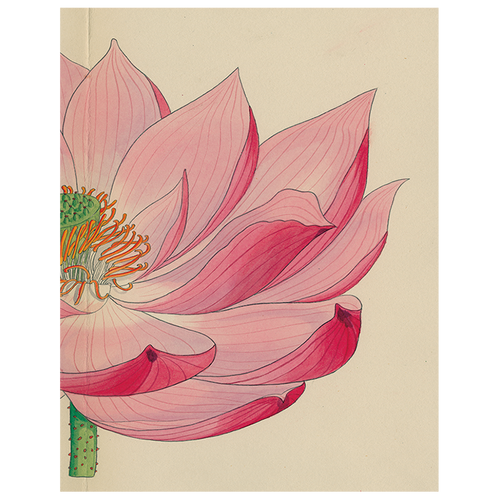john derian Painted Lily (p 38) 11" x 14" Rect. Tray