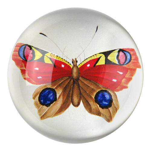 john derian Painted Papillion Dome Paperweight