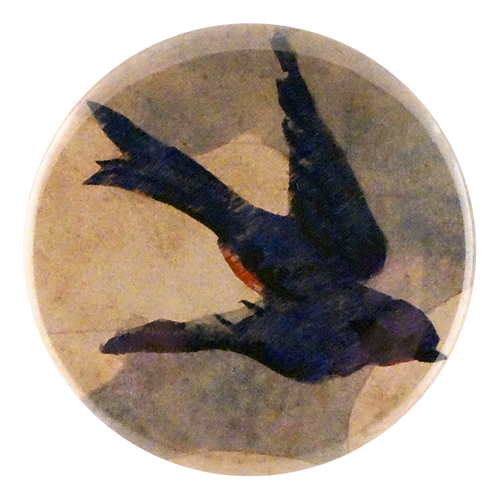 john derian Painted Swallow Mirror & Pin