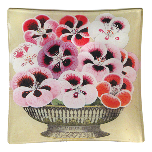 john derian Pansy Un Vide Poche (6" Square)