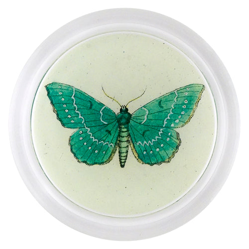 john derian Papilionaria (Butterfly) 6" Coaster
