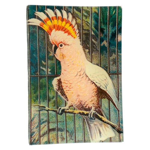 john derian Parrot #3 (Pink) 4.5 x 6.5" Mini-Tray