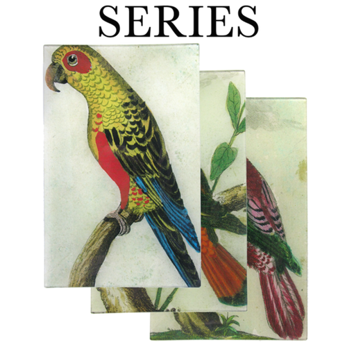 john derian Parrots 9 x 14" Wall Tray