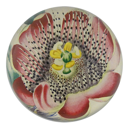 john derian Passion Flower Open Dome Paperweight