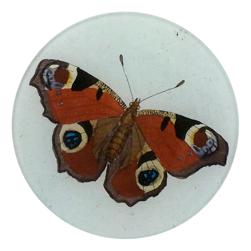 john derian Peacock Butterfly 5 1/4" Round Plate