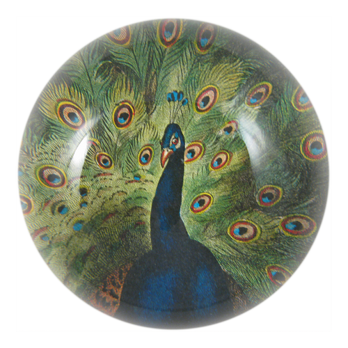 john derian Peacock Close-up Dome Paperweight