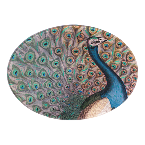 john derian Peacock Flourish 5 x 7" Oval
