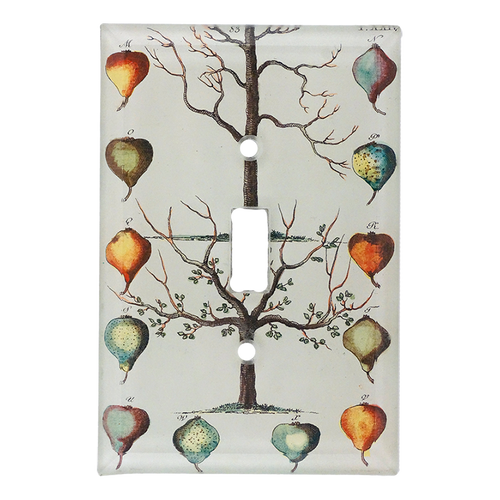 john derian Pears Tree Switch Plate Cover