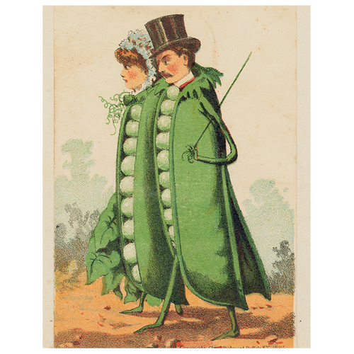 john derian Peas in a Pod (p 176) 11" x 14" Rect. Tray