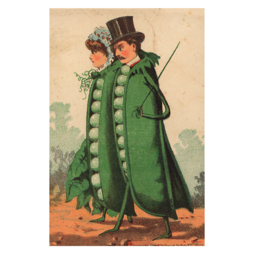 john derian Peas in a Pod Postcard (Pack of 10)