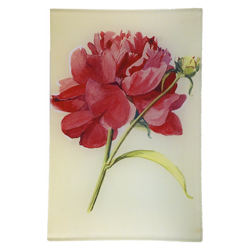 john derian Peony 3 6 x 9" Rect. Tray