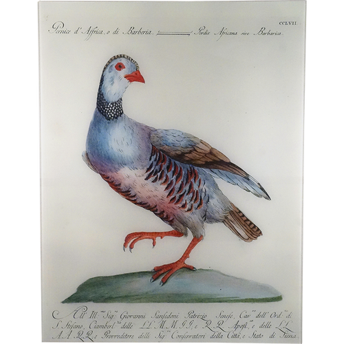 john derian Pernice 17 x 22" Rect. Tray