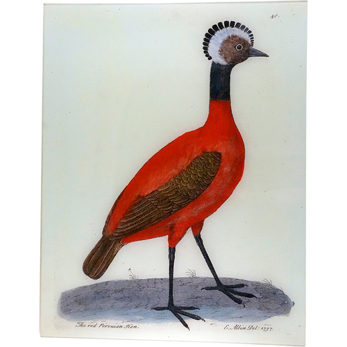 john derian Peruvian Hen 17 x 22" Rect. Tray