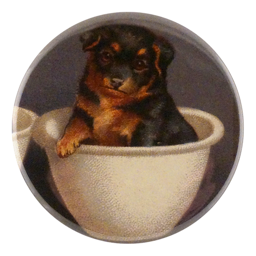 john derian Pet Bowl Mirror & Pin