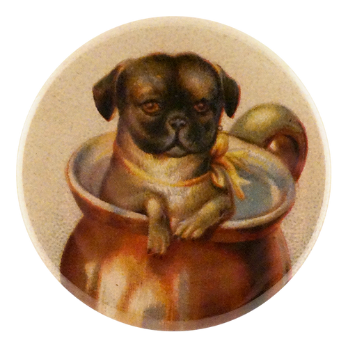 john derian Pet Mug Mirror & Pin