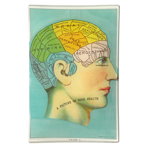 john derian Phrenology Head 6 x 9" Rect. Tray