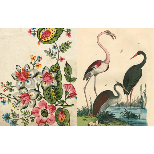John Derian John Derian Picture Book II Signed - $80.00 Unsigned - $80.00