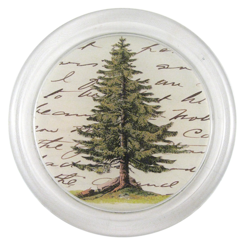 john derian Pine 6" Coaster