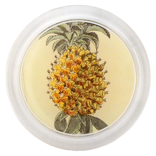 john derian Pineapple Close Up 6" Coaster