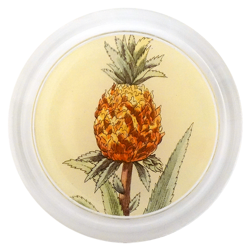 john derian Pineapple in a Pot 6" Coaster