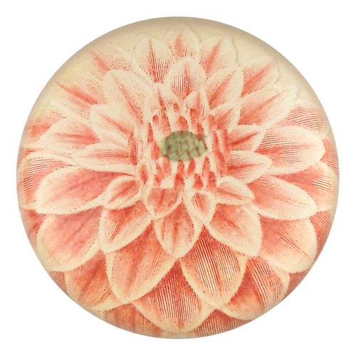 john derian Pink Dahlia Dome Paperweight