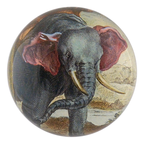 john derian Pink Ear Elephant Dome Paperweight