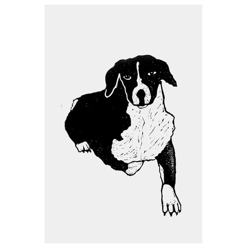 john derian Pon Pon 15 x 22" Linocut Print