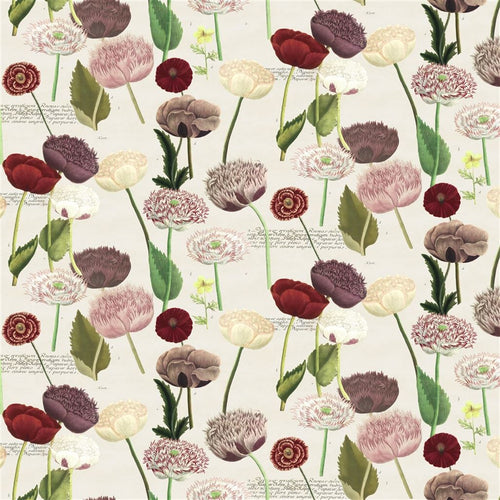 john derian Poppy Study Violet Fabric