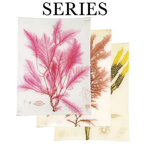 john derian Pressed Seaweeds 10 x 13" Rect. Tray